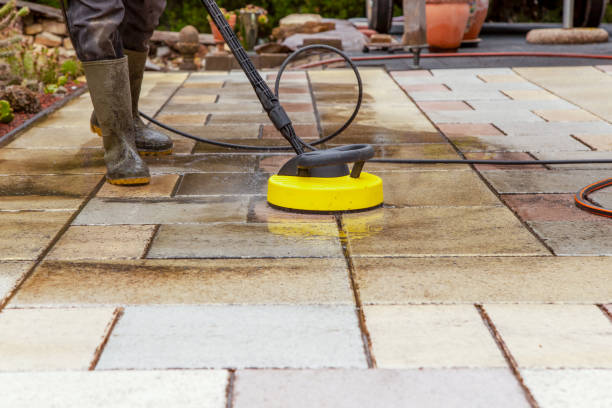 Best Dumpster Area Cleaning  in Buchanan, MI